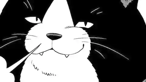 Thumbnail of Chapter 9/10