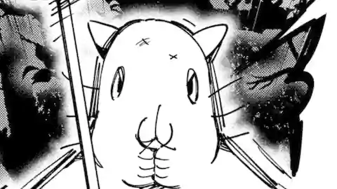 Thumbnail of Chapter 20.1
