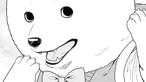 Thumbnail of Chapter 13/14