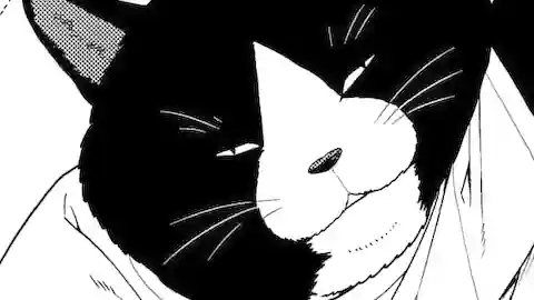 Thumbnail of Chapter 23/24/25