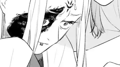 Thumbnail of Chapter 21.2