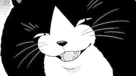 Thumbnail of Chapter 36/37
