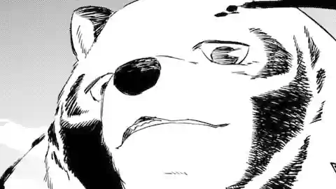 Thumbnail of Chapter 17.2