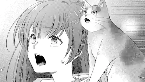 Thumbnail of Chapter 8.1