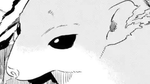 Thumbnail of Chapter 16.1