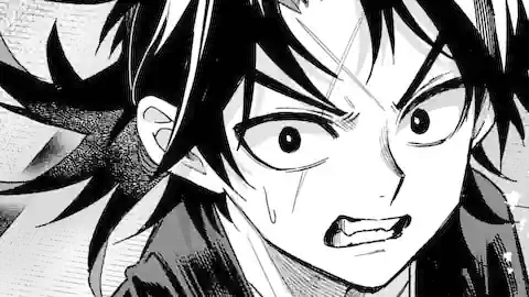 Thumbnail of Chapter 30.3