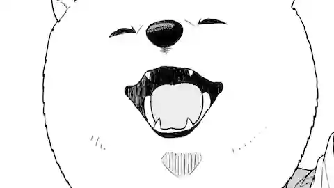 Thumbnail of Chapter 11/12