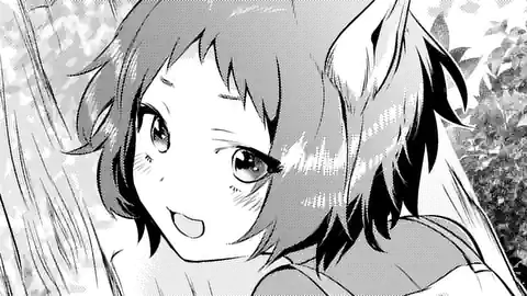 Thumbnail of Chapter 12.3