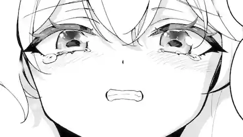 Thumbnail of Chapter 85.2