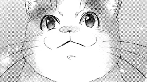 Thumbnail of Chapter 6.4