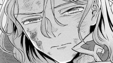 Thumbnail of Chapter 11.1