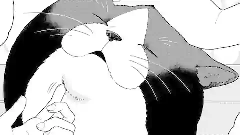 Thumbnail of Chapter 59/60