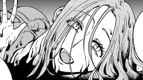 Thumbnail of Chapter 20.2