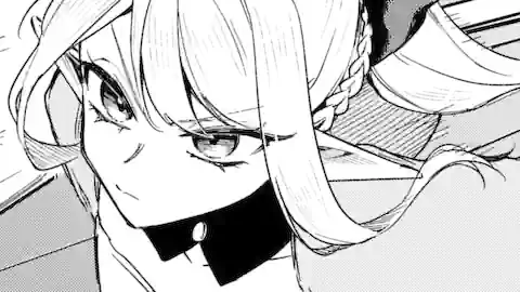 Thumbnail of Chapter 16.2