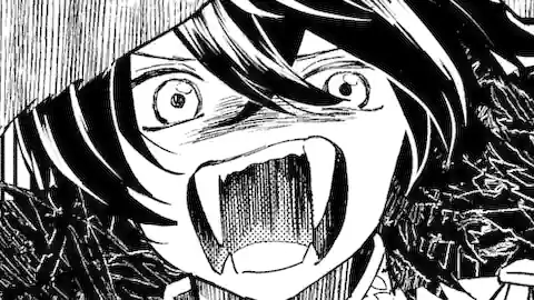 Thumbnail of Chapter 11.1